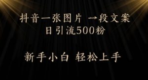 每日2min,抖音一张照片 一段创意文案日引流方法500粉-番茄副业网