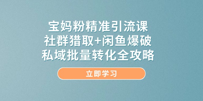 （14820期）宝妈粉精准引流方法课，社群营销捕获 闲鱼平台工程爆破，公域大批量转换攻略大全-番茄副业网