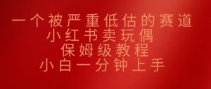 一个被严重低估的赛道，小红书的卖公仔，家庭保姆级实例教程，小白一min入门-番茄副业网