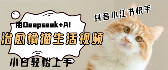疯狂火爆，用Deepseek+AI做治愈橘猫系列视频，小白轻松制作+快速拿到结果-番茄副业网
