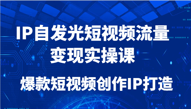 IP内发光自媒体流量转现实操课，爆款短视频写作IP打造出-番茄副业网