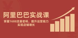 （14830期）阿里实战演练课：把握1688总流量登陆密码，提高经营能力，完成店面提高-番茄副业网