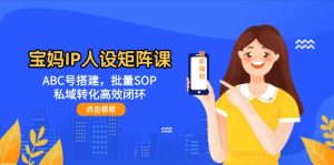 （14821期）宝妈妈IP人物关系引流矩阵课：ABC号构建，大批量SOP，私域转化高效率闭环控制-番茄副业网