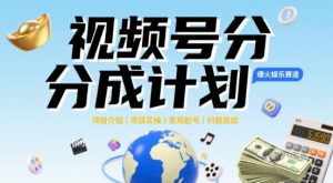 微信视频号2025治愈系动漫新生态,100%原创短视频,数分钟一条原创短视频-番茄副业网