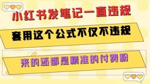 小红书发笔记一直违规，套用这个公式不仅不违规，来的还都是精准的付费粉-番茄副业网