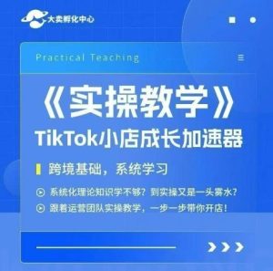 大卖家孵化中心TikTok实操课,TikTok小店成长加速器,跨境基础系统学习,一步一步带你开店-番茄副业网