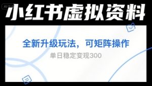 小红书虚拟资料全新升级玩法，可矩阵操作，单日稳定变现3张-番茄副业网