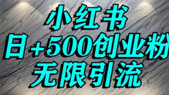 小红书无限引流创业粉，单人操作日引500+精准创业粉-番茄副业网