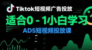 Tiktok短视频广告投放，适合0-1小白学习ADS短视频投放课-番茄副业网
