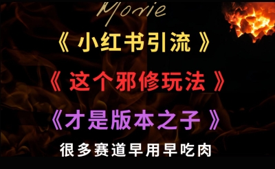 最近小红书引流这个邪修玩法才是版本之子，很多赛道早用早吃肉-番茄副业网