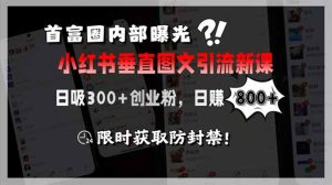 （15313期）首富圈内部曝光小红书垂直图文引流新课，日吸300+创业粉，日赚800+，限…-番茄副业网
