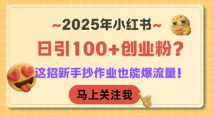 2025年小红书日引100+创业粉？这招新手抄作业也能爆流量！-番茄副业网