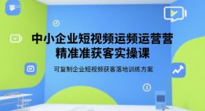 中小企业短视频运营精准获客实操课，可复制企业短视频获客落地训练方案-番茄副业网
