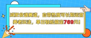 减肥食谱赛道，自带热度可长期运营，养老玩法，单日轻松搞定769-番茄副业网