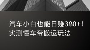 汽车小白也能日入3张！实测懂车帝搬运玩法-番茄副业网