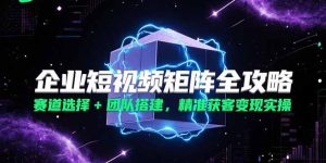 （15242期）企业短视频矩阵全攻略，赛道选择+团队搭建，精准获客变现实操-番茄副业网