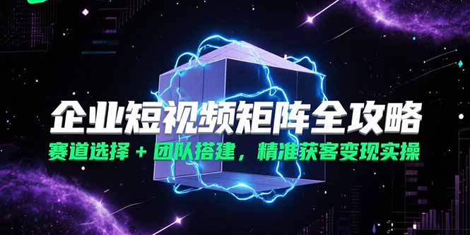 （15242期）企业短视频矩阵全攻略，赛道选择+团队搭建，精准获客变现实操-番茄副业网
