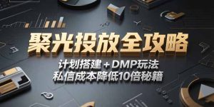 （15254期）2025小红书聚光投放全攻略，计划搭建+DMP玩法，私信成本降低10倍秘籍-番茄副业网