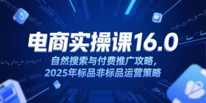 （15262期）淘宝电商运营课16.0，自然搜索与付费推广攻略，2025年标品非标品运营策略-番茄副业网